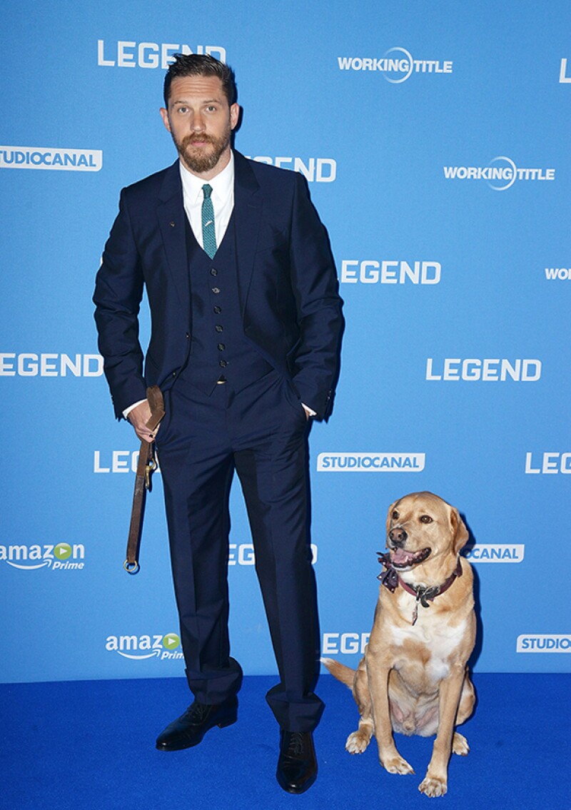 Lo normal es que los grandes galanes de Hollywood lleguen con sus guapísimas novias a las premieres, pero Tom Hardy prefirió llegar a la de Legend con su tierna mascota.