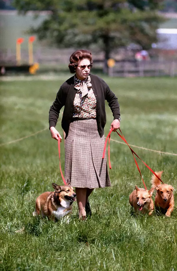 Isabel II y corgis