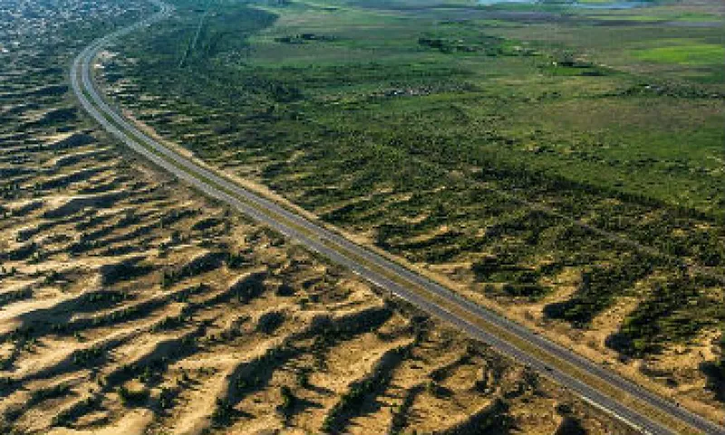 desertificaci�n_suelo