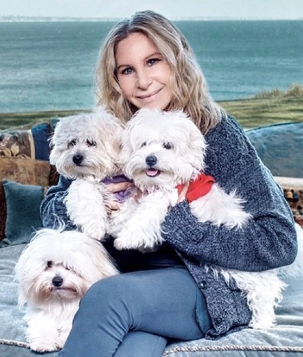 Barbra Streisand