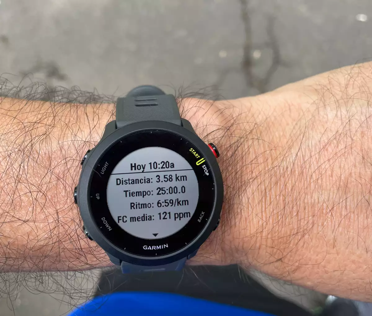 Garmin Forerunner 55