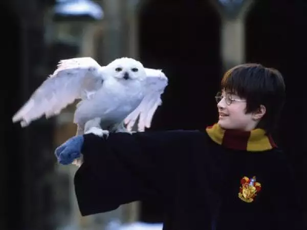 ?url=https%3A%2F%2Fcdn 3.expansion.mx%2Ffd%2F98%2F518fd9e7451ead7e6ed36172794f%2Fdaniel radcliffe harry potter and the philosophers1 Harry Potter y la piedra filosofal