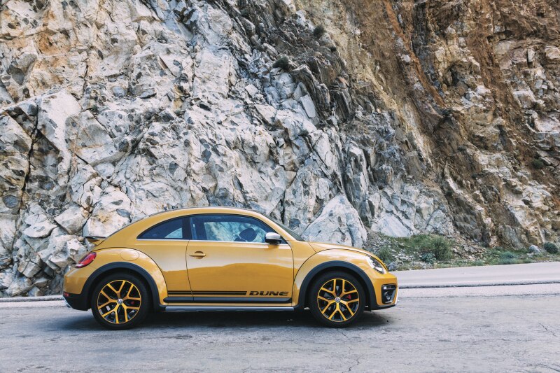 Beetle Dune