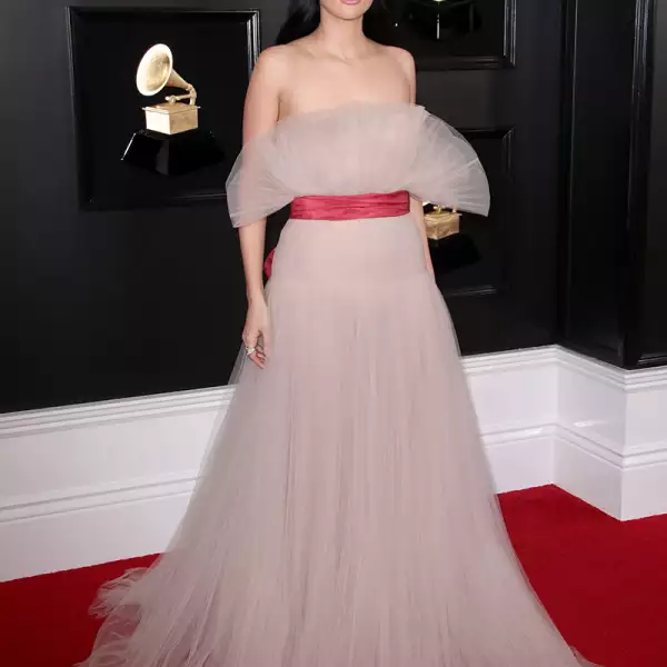 61st Annual Grammy Awards, Arrivals, Los Angeles, USA - 10 Feb 2019