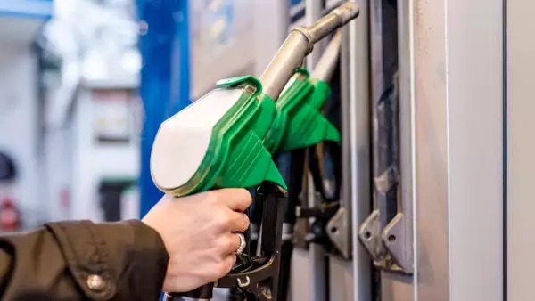 Gasolina