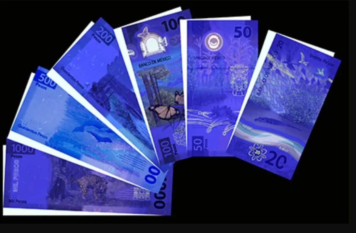 billetes falsos