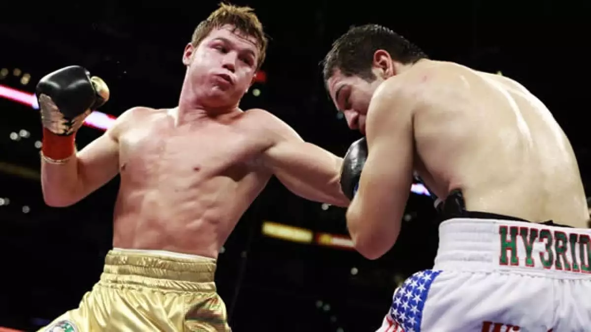saul canelo alvarez alfonso gomez box