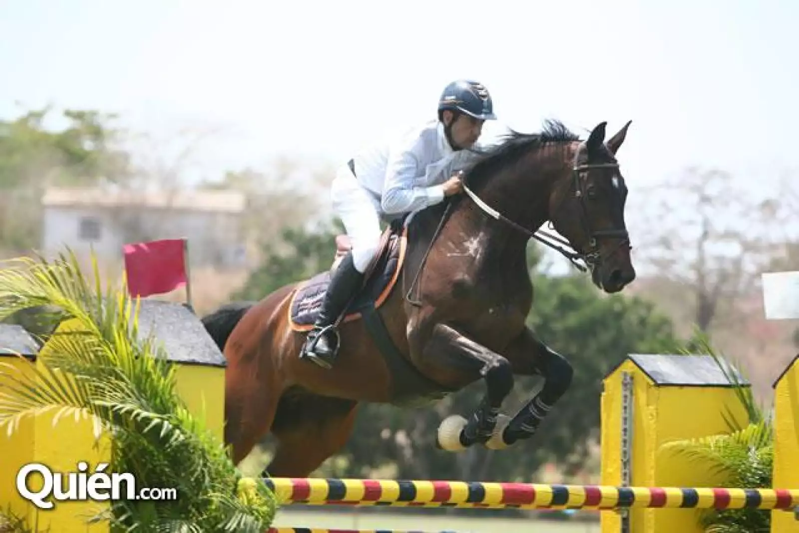 Luis Martín del Campo