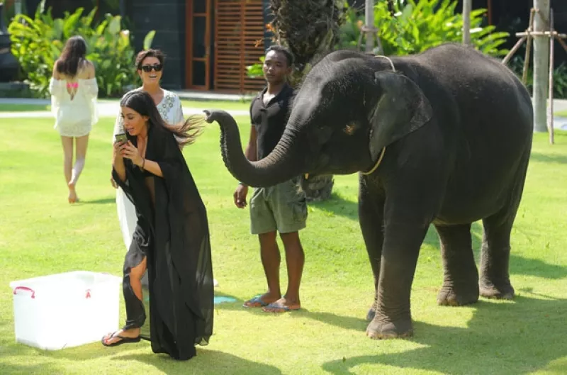 Ahora que el clan Kardashian-Jenner se encuentra vacacionando en Tailandia, la hermana más famosa decidió tomarse una foto con un elefante, con lo que no contaba era que a él no le encantaría la idea.