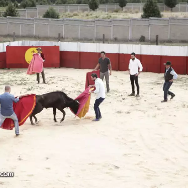 Festejo de Susy Stevan