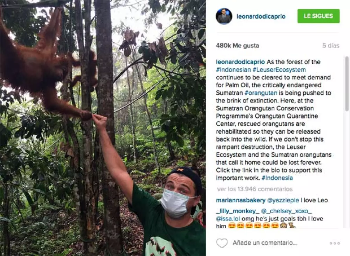 Las declaraciones y opiniones de Leo sobre la situación de la vida en Indonesia molestó al gobierno.