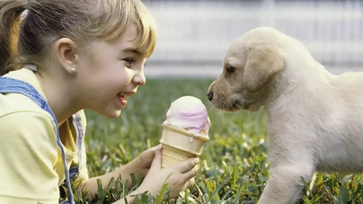 nina helado mascota perro puppy girl