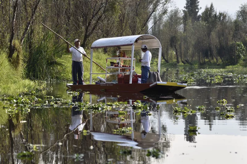 Cuemanco_Xochimilco-1.jpg
