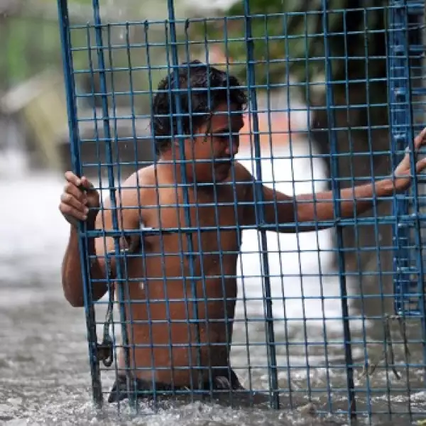 China tifón Usagi 5