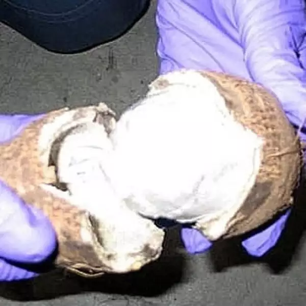 Nuez - tráfico de drogas