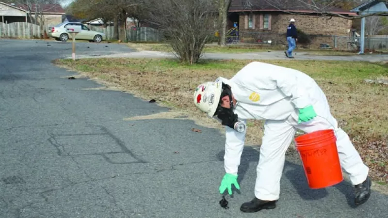 trabajador recoge pajaros negros