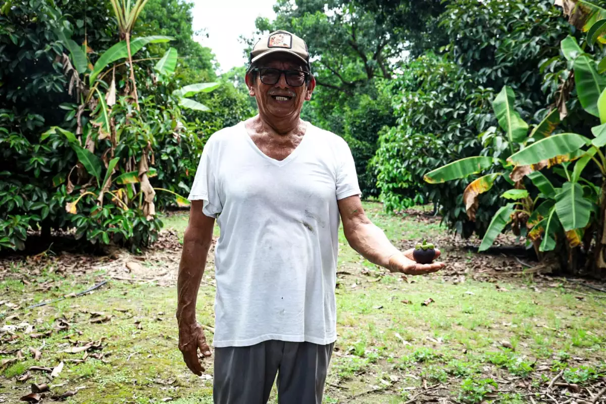 agricultor