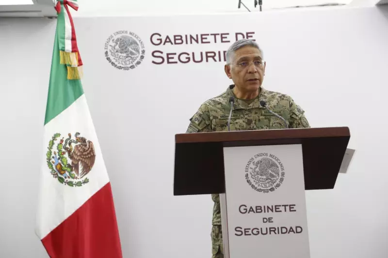 marina el jardinero.jpeg