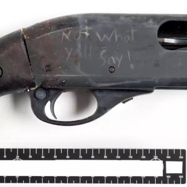 aaron alexis gun getty