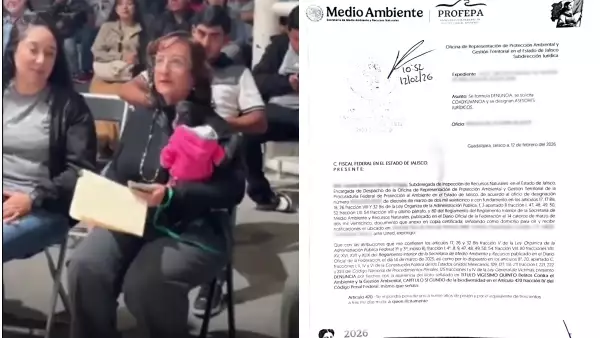 denuncia regidora mono araña