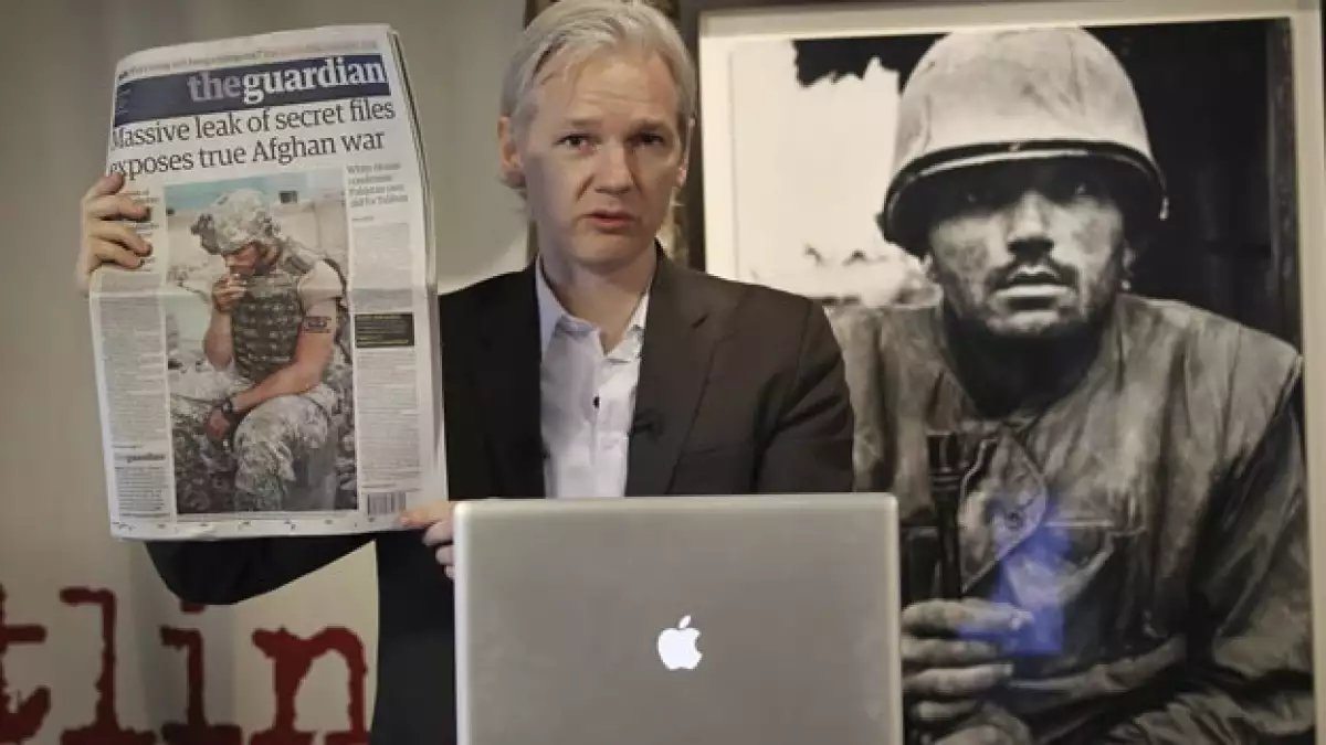 assange wikileaks