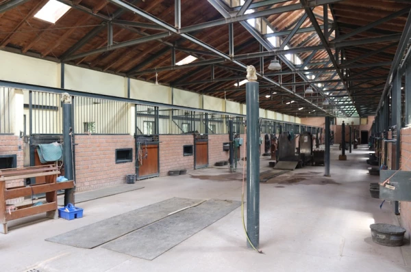 Caballerizas La Silla