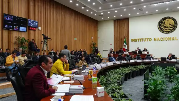 Sesión ordinaria INE-3