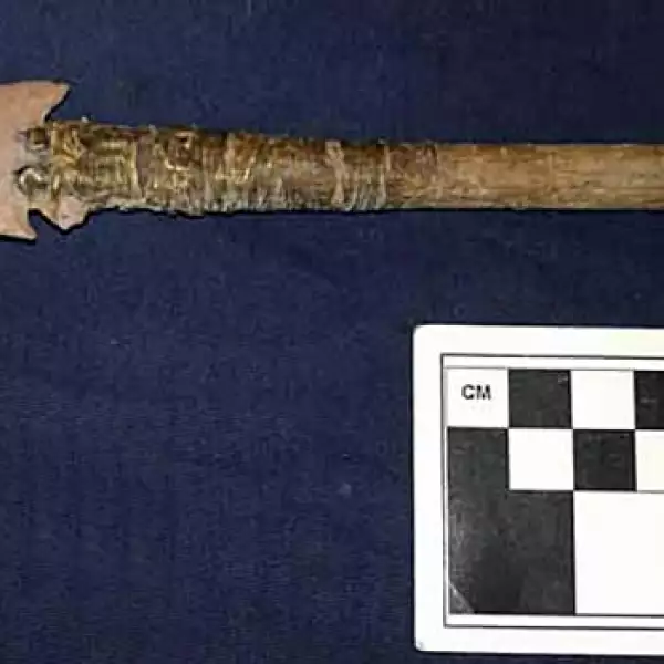 piezas arqueologicas rescatadas