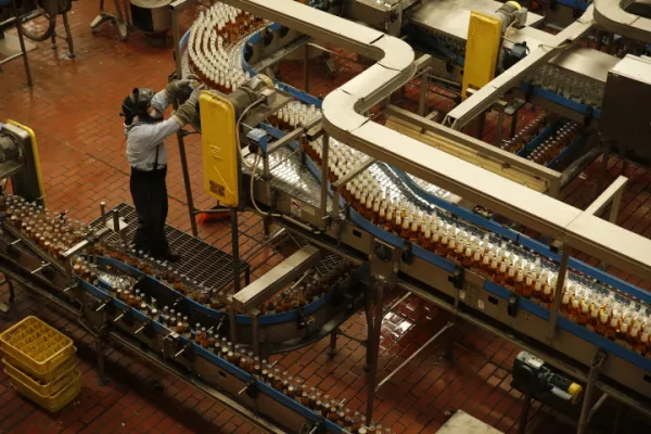 Pretenden producir 420,000 toneladas.