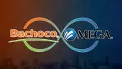 Bachoco y Megacable evolucionaron por caminos distintos, pero mantienen un mismo origen.