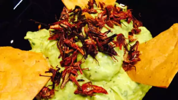 Chapulines