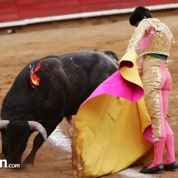 Matador Alejandro Talavante