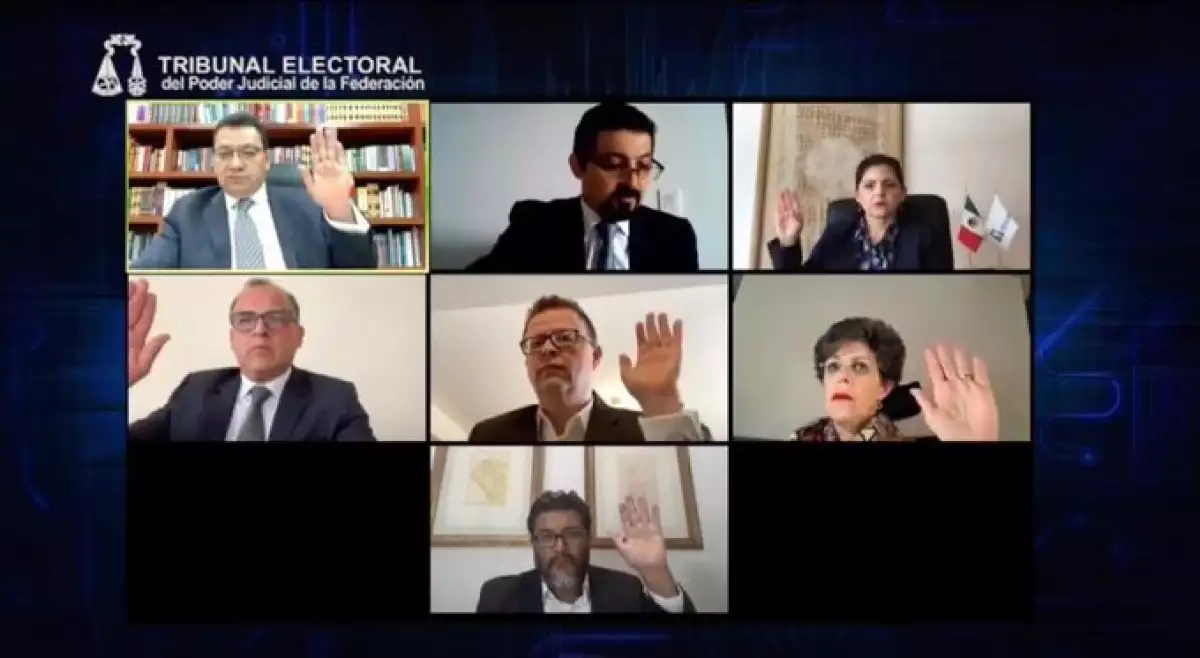 tribunal elecciones 2020