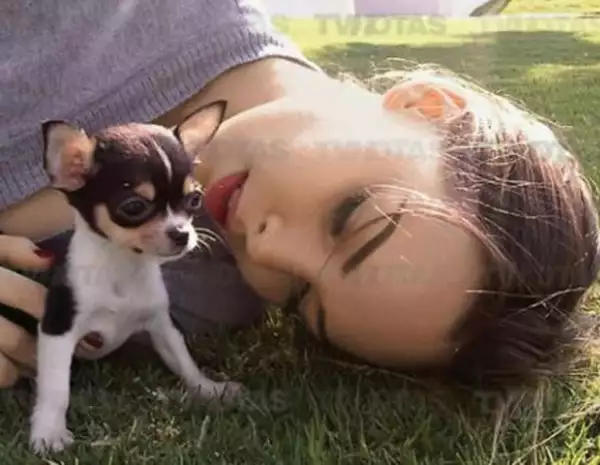 Gizmo le ha robado el corazón por completo a la bella Belinda.