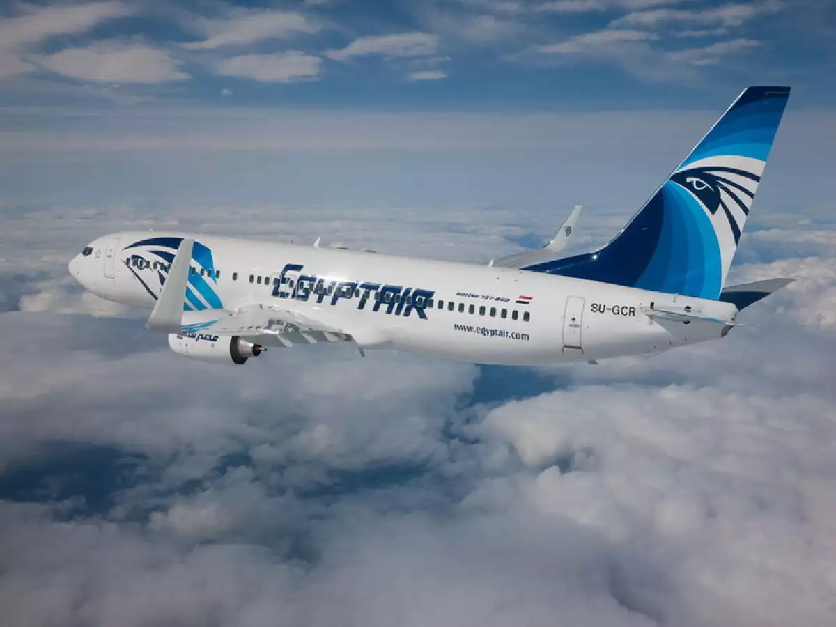 La aerolínea EgyptAir opera un total de 81 aeronaves para vuelos de pasajeros y de carga.