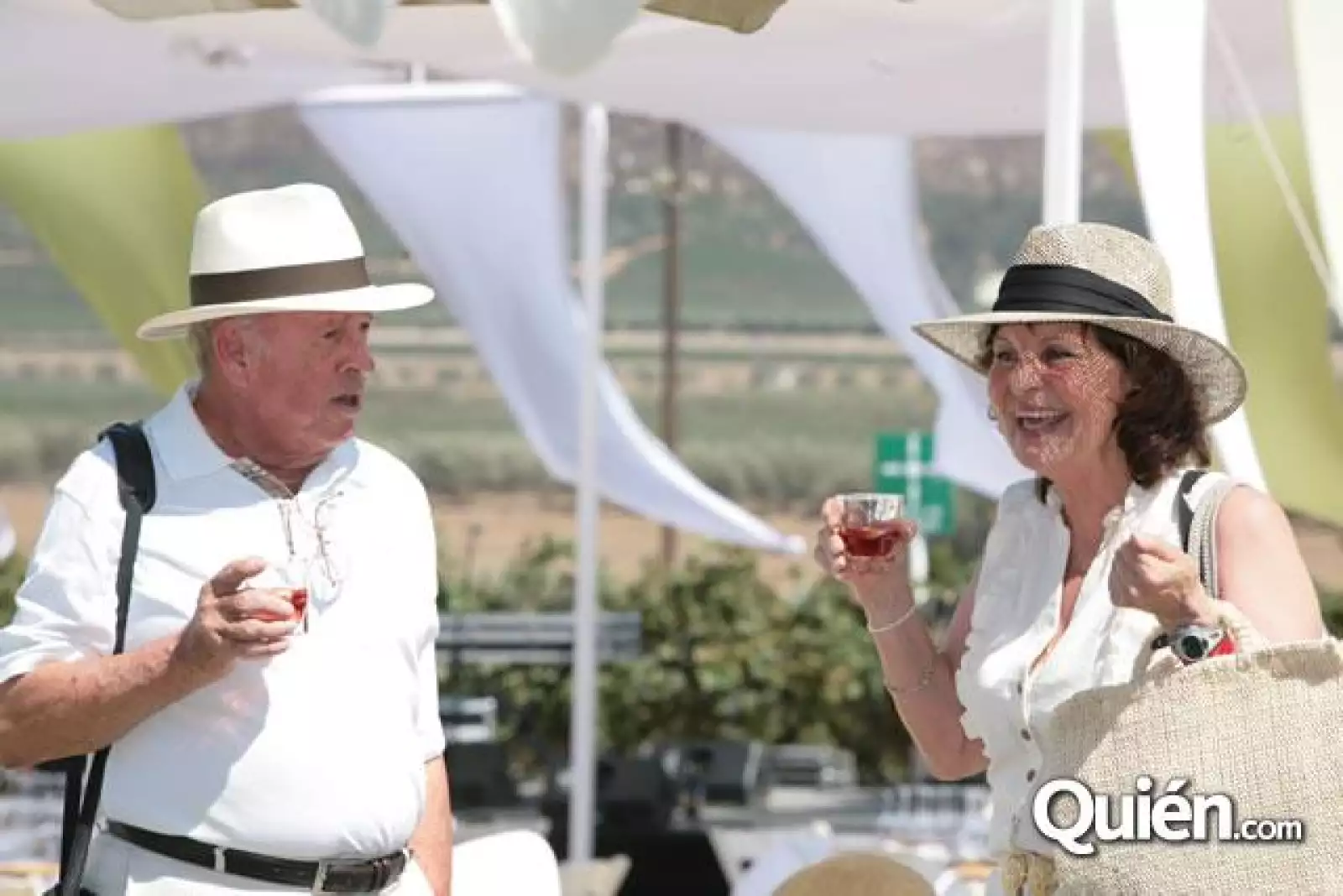 Vendimia Pedro Domecq