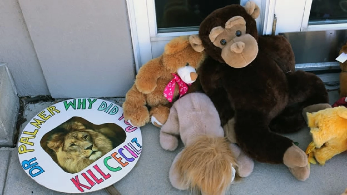 Un homenaje para el león ?Cecil? afuera del consultorio dental de Walter Palmer, en Minnesota