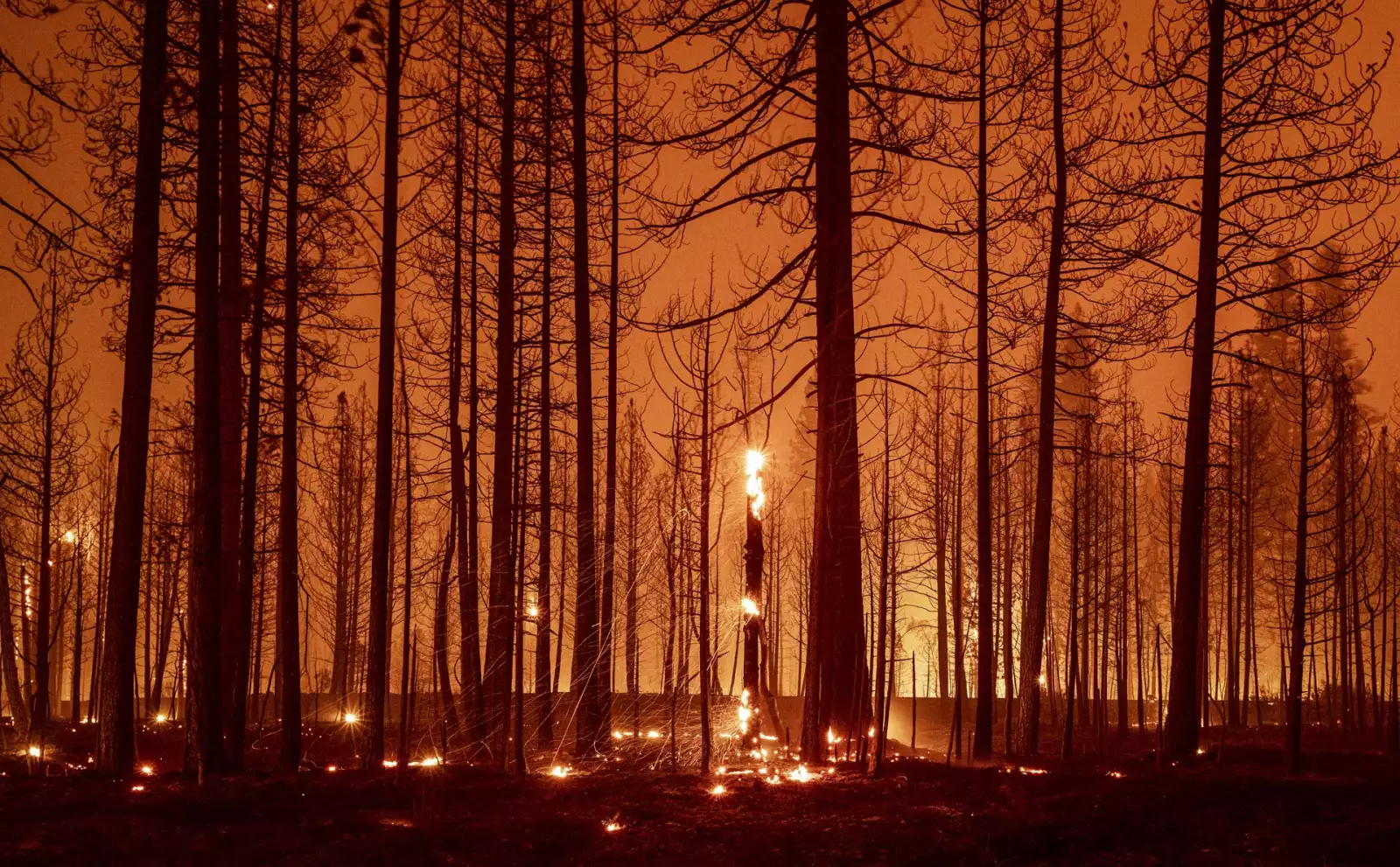 US-CLIMATE-CALIFORNIA-FIRE-WILDFIRE