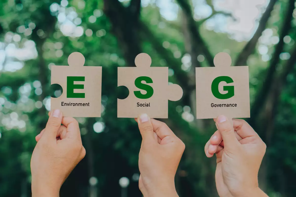 ¿Qué es ESG y por qué es importante para las empresas?