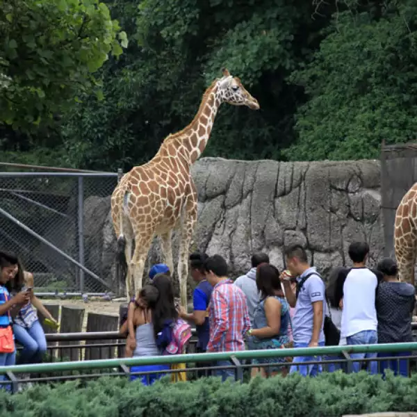 zoo chapultepec 02