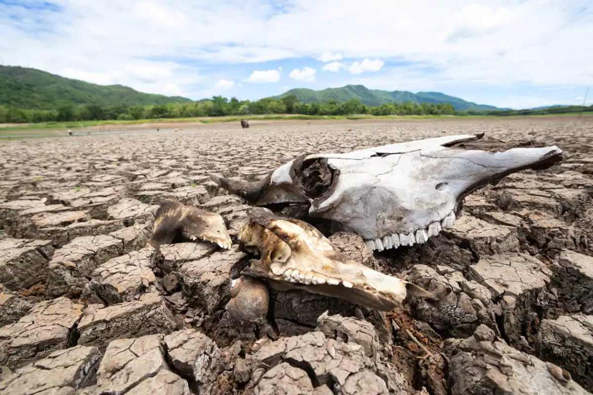Tejiendo agendas. El agua y la alimentación en la crisis climática