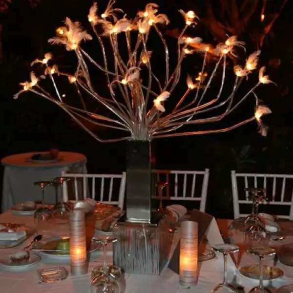 Boda Antonella Gerini  y Álvaro Guizar