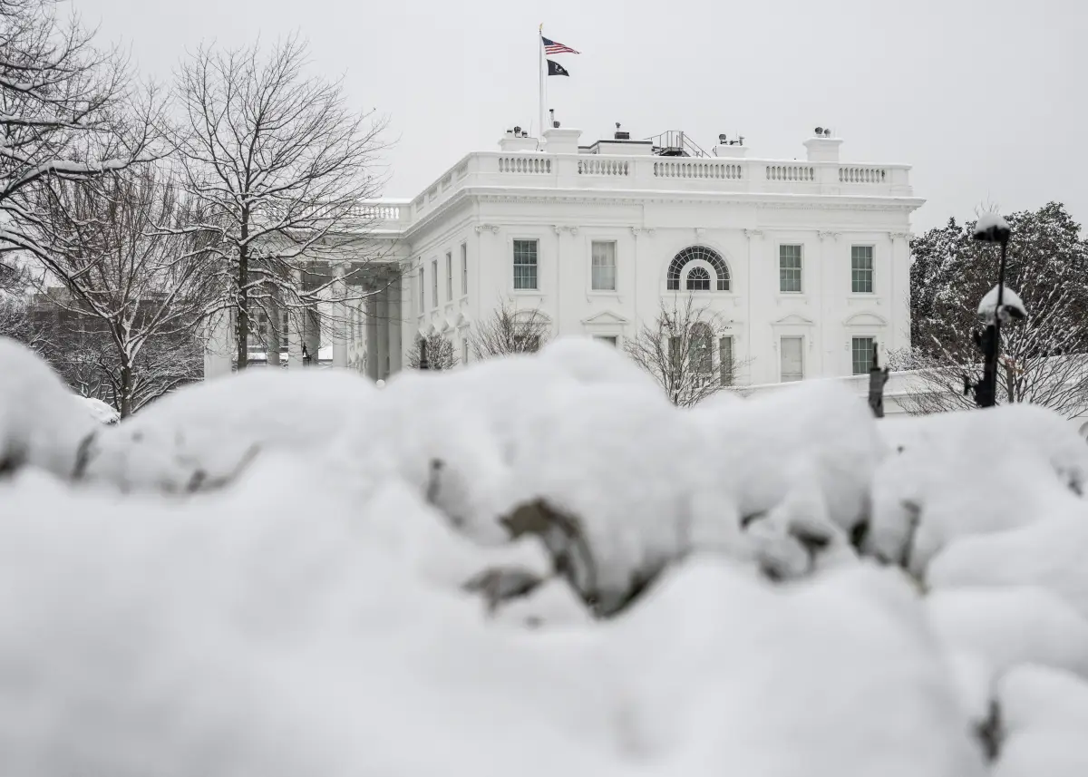 Arbustos cubiertos de nieve se ven fuera de la Casa Blanca en Washington, DC el 12 de febrero de 2025. (Imagen principal del artículo 'Melania Trump anuncia la reapertura de la Casa Blanca al público')