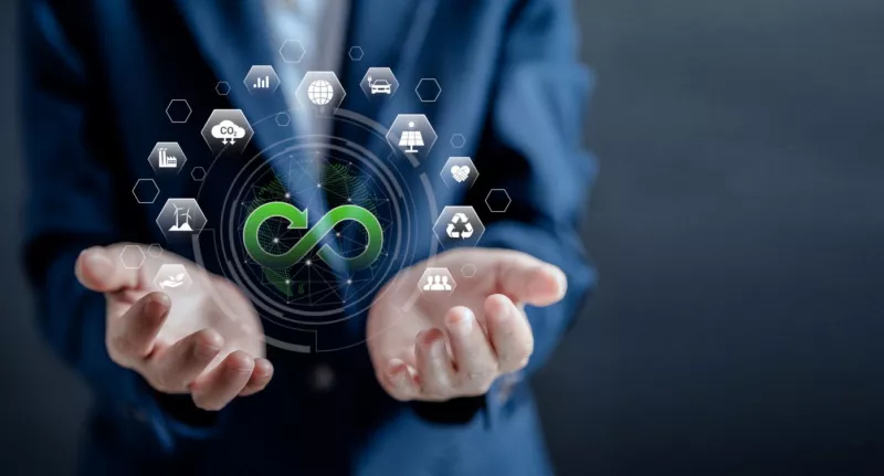 Palomita a la evolución publicitaria