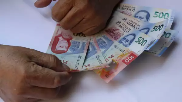 Ley 97 del IMSS qué dice