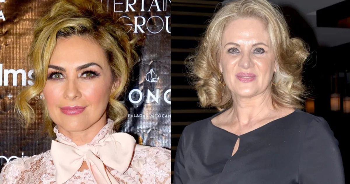 Erika Buenfil apoya a Aracely Arámbula tras difundirse imagen del rostro de su hijo mayor
