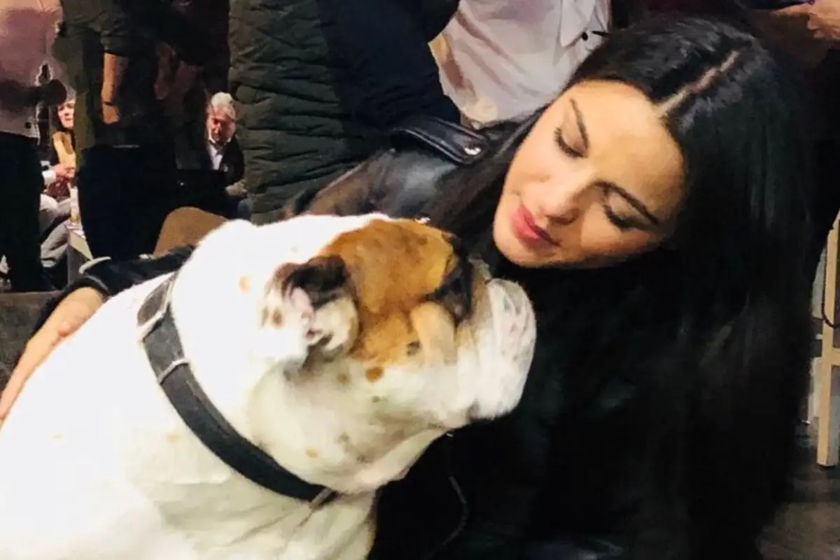 maite-perroni-perro.jpg