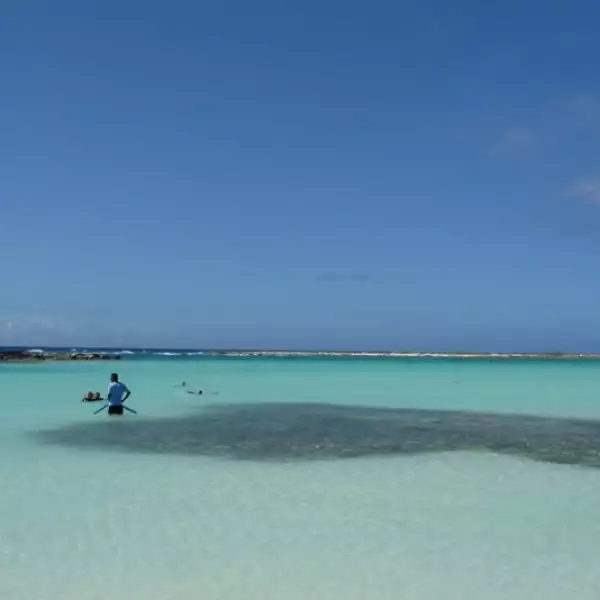 aruba eagle playa