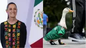 sheinbaum y pato mundialista
