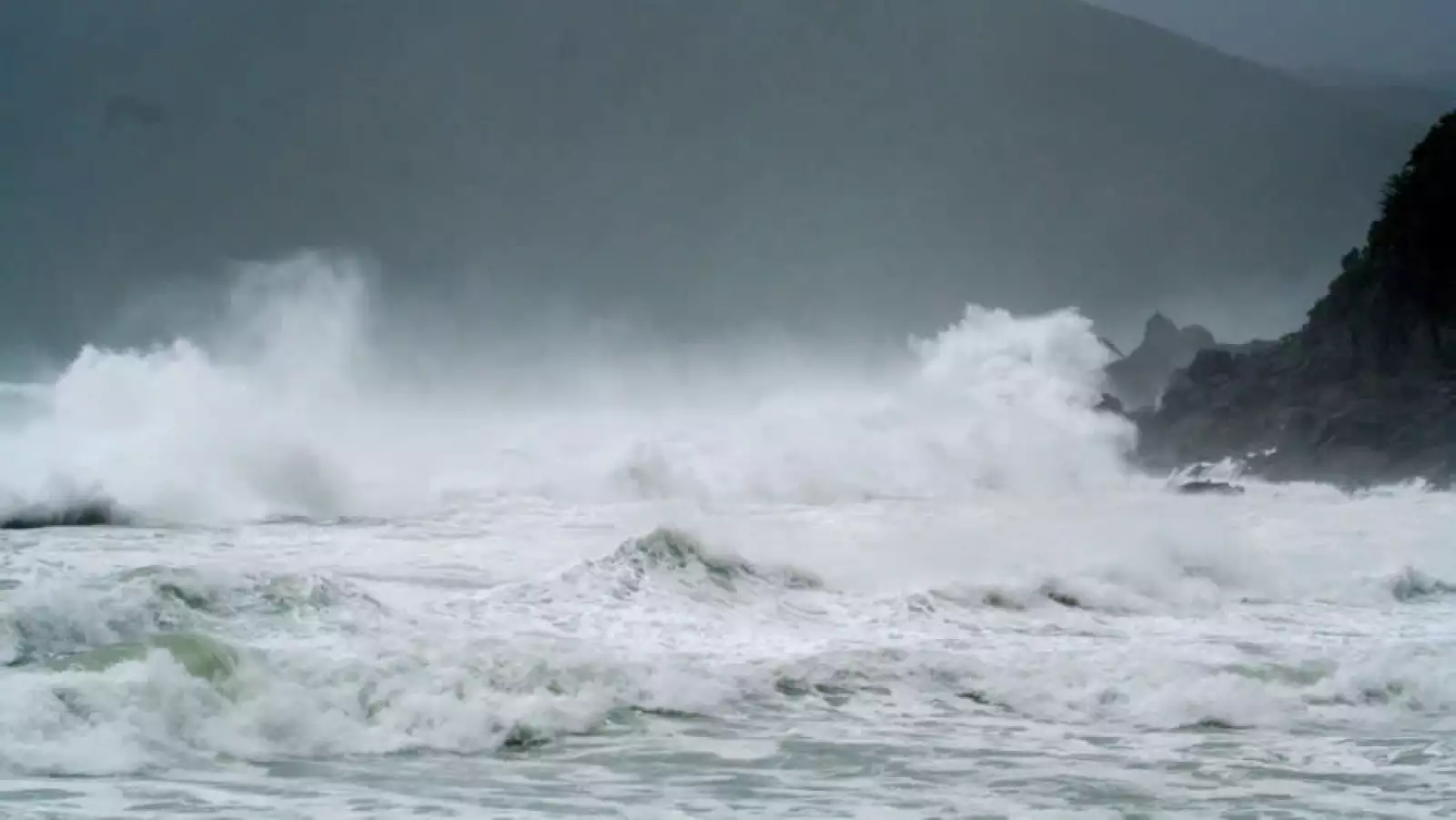 tifón Neoguri Japón 5